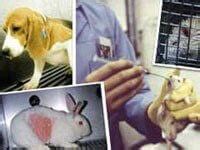 International Animal Testing Programs .